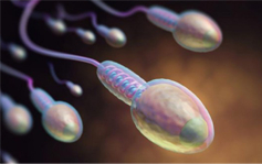 Semen Analysis in Chennai